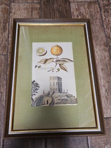 Aranzo Acuminato Framed Print Behind Glass, 21&quot; x 14 1/2&quot; - $39.59