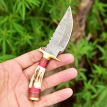 MINIATURE HANDMADE DAMASCUS STEEL HUNTING SKINNING KNIFE STAG HANDLE Boo... - $22.14