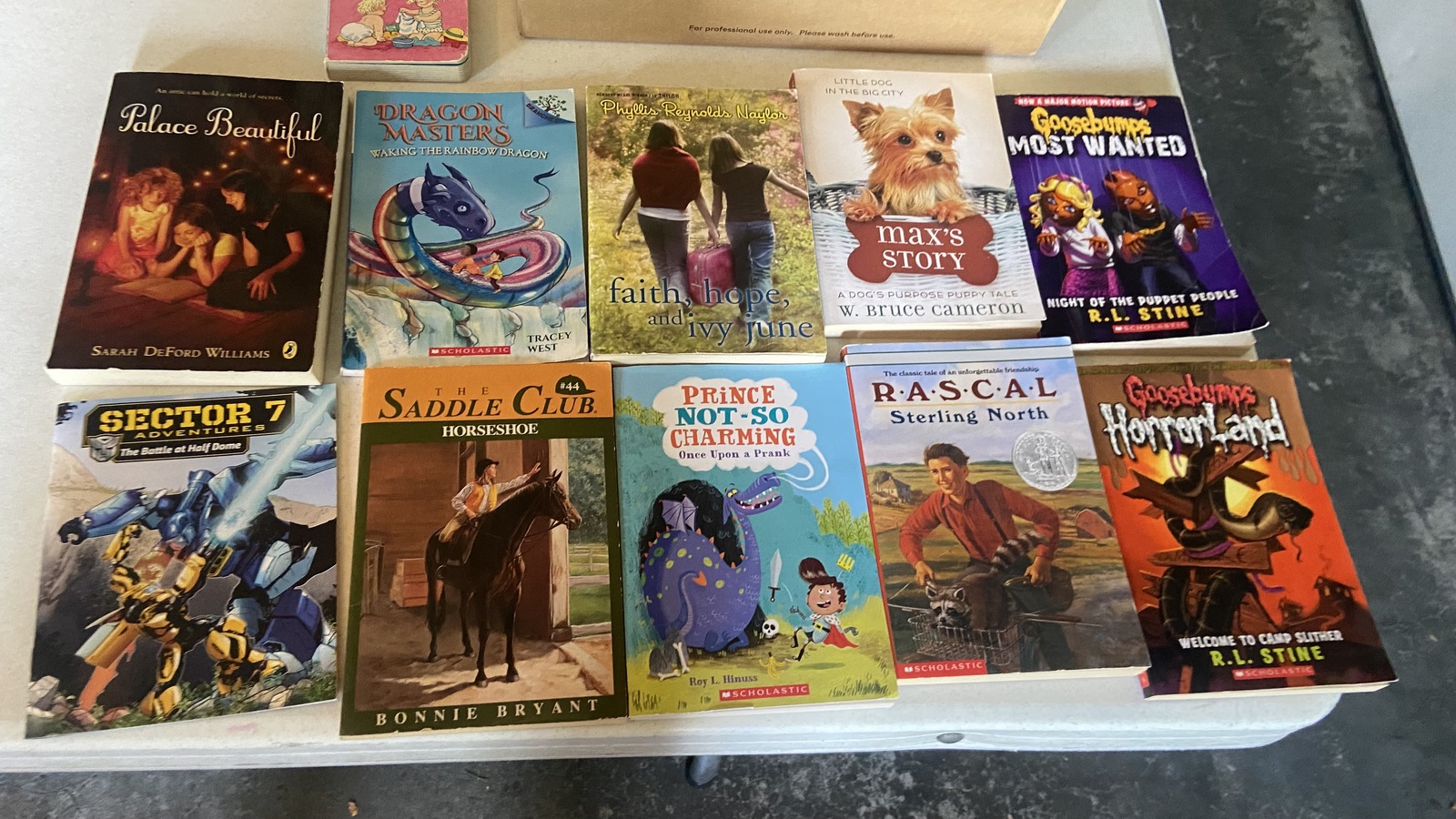Lot of Children&#39;s Kids Chapter Books Instant Library - $14.99