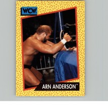 1991 Impel WCW Wrestling Trading Card Arn Anderson #49 C2 - $1.97