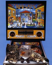 Bad Cats Pinball FLYER 1989 Original Unused Kitten Calico Cat Vintage Re... - $21.85