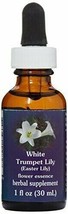 Flower Essence Services Easter Lily Herbal Supplement Dropper, 1 Ounce - £11.90 GBP