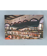 Vintage Postcard - Sperm Whale Bishop Museum - Bishop Museum Photograph - $20.37 CAD
