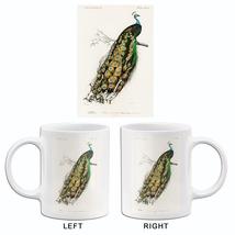 Indian Peafowl (Pavo Cristatus) - Bird Illustration Mug - £19.17 GBP+
