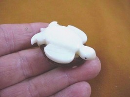 (TNE-T-SEA-27-A) white Sea Turtle TAGUA NUT Figurine carving Vegetable turtles - £9.59 GBP