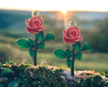 10 pcs Long Stem Rose Charms Dark Pink Green Flower Bead Drops Findings ... - $11.02