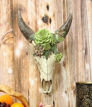 Ebros Western Steer Bison With Painted Flowering Succulents Wall Decor Skulls - £55.74 GBP