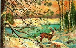 Robert Scott Painting Deer Buck In Woods Winter Scene River UNP Chrome Postcard  - £2.33 GBP