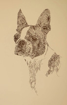 BOSTON TERRIER SIGNED ART LITHOGRAPH #61 Stephen Kline adds your dogs na... - £38.75 GBP