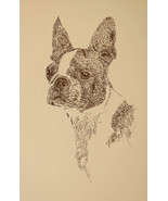 BOSTON TERRIER SIGNED ART LITHOGRAPH #61 Stephen Kline adds your dogs na... - £38.66 GBP