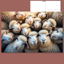  &quot;Sheep Selfie: Funny Sheep Taking a Selfie on the Farm&quot;  Hilarious Post... - £4.74 GBP