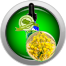 Asafoetida Essential Oil (Ferula Assa-Foetida) - $112.94 MXN+