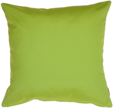 Sunbrella Macaw Green 20x20 Outdoor Pillow, Complete with Pillow Insert - £46.12 GBP