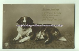 an0714 - Dogs - Birthday Greetings &amp; Poem, with Adult Hound - postcard - £1.98 GBP