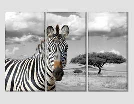 Zebra Canvas Print Zebra Wall Art Wild Nature Wall Art Zebra Home Decor Black An - £38.37 GBP