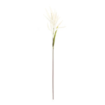 Astilbe Stem (Set of 6) - $73.31 CAD