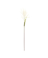 Astilbe Stem (Set of 6) - $73.14 CAD