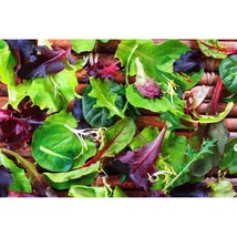 Mesclun Blend Lettuce &amp; Greens Mix  10 Seeds  Garden Beautiful USA SELLER - £4.17 GBP