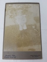 World&#39;s Fair Photo Co. St. Louis Young Boy Grass with Tree Cabinet Card - £12.11 GBP