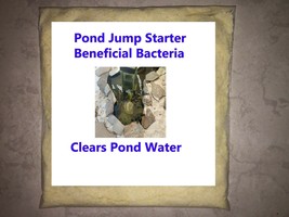 Pond Starter Beneficial Bacteria Clear Water Formula (Dry 6 Week Treatment) - £13.80 GBP