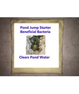 Pond Starter Beneficial Bacteria Clear Water Formula (Dry 6 Week Treatment) - $338.64 MXN