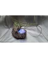 KB Hand Carved Pumice Stone Crystal Holder/Pot And Led Light Unique Herb... - $73.78 CAD