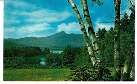 1950s Vintage Mt Chocorua and lake NH landscape Postcard birch trees - £2.36 GBP