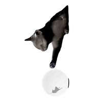 interoknack Designer Cat &amp; Mouse Table/Wall Lamp, Creative Animal Sculpt... - $5,526.91 MXN