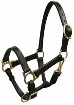 New Adult Size Goat or Sheep Leather Halter Turnout Ewe or Ram - Billy o... - £15.95 GBP