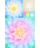 26&quot; X 44&quot; Panel Kablooms Floral Flowers Dahlias Floral Cotton Fabric D14... - $14.18 CAD