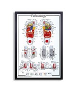 Framed Biology Posters 26&quot;x38&quot; (Reflexology) - $98.01