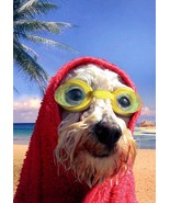 6 CARDS FOR $6.00 - NEW - Never Washed Up - Tree Free Greeting Card - 14611 - $54.73 MXN