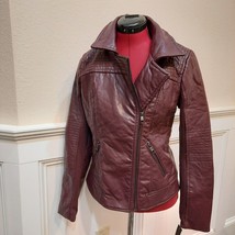 New Steve Madden Moto Jacket Faux Leather Small Women&#39;s Oxblood Red Burgundy - £28.87 GBP