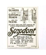 Sozodont Toothpaste Dentrifice 1897 Advertisement Victorian Dental ADBN1A10 - €17,04 EUR