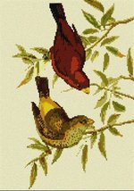 Pepita Needlepoint kit: Scarlet Finch, 7&quot; x 10&quot; - £38.57 GBP+