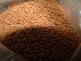 White Mustard Seed - 4 Oz &quot;PURE&quot; Sinapis Alba Non-GMO Microgreens Or Pla... - £23.76 GBP