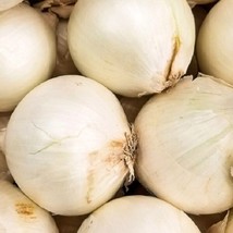 Early White Grano Prr Onion Seeds  Heirloom Fresh Garden - $9.00