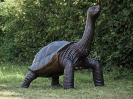Giant Tortoise – Bronze Sculpture. 155x110x150cm - 40Kg - $14,491.68 CAD