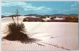 Postcard Near Alamogordo, New Mexico White Sands National Monument - £7.05 GBP