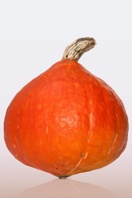 Red Kuri Japanese Winter Squash Heirloom Seeds 20 Seeds Fresh Garden - £17.56 GBP