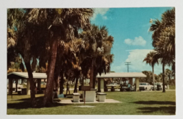 Picnic Area Old Cars Palm Trees Englewood Beach Florida FL Postcard c1970s - £4.01 GBP