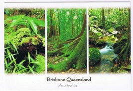 Australia Postcard Brisbane Queensland Rainforest  - £2.33 GBP