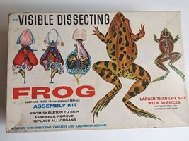 Vintage The Visible Dissecting Frog Assembly Kit BUILT MODEL Vtg 1950s Palmer NY - $31.92