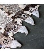 Head-on Asia Spitting Cobra Snake Skin Snakeskin Taxidermy Hide Single One - $23.10+