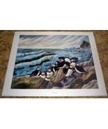 Maine Puffins &quot;Island Dwellers&quot; Signed Paul Boucher 25 x 19 Color Art Print - $24.75