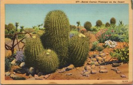 Barrel Cactus On the Desert Postcard PC491/2 - £3.93 GBP