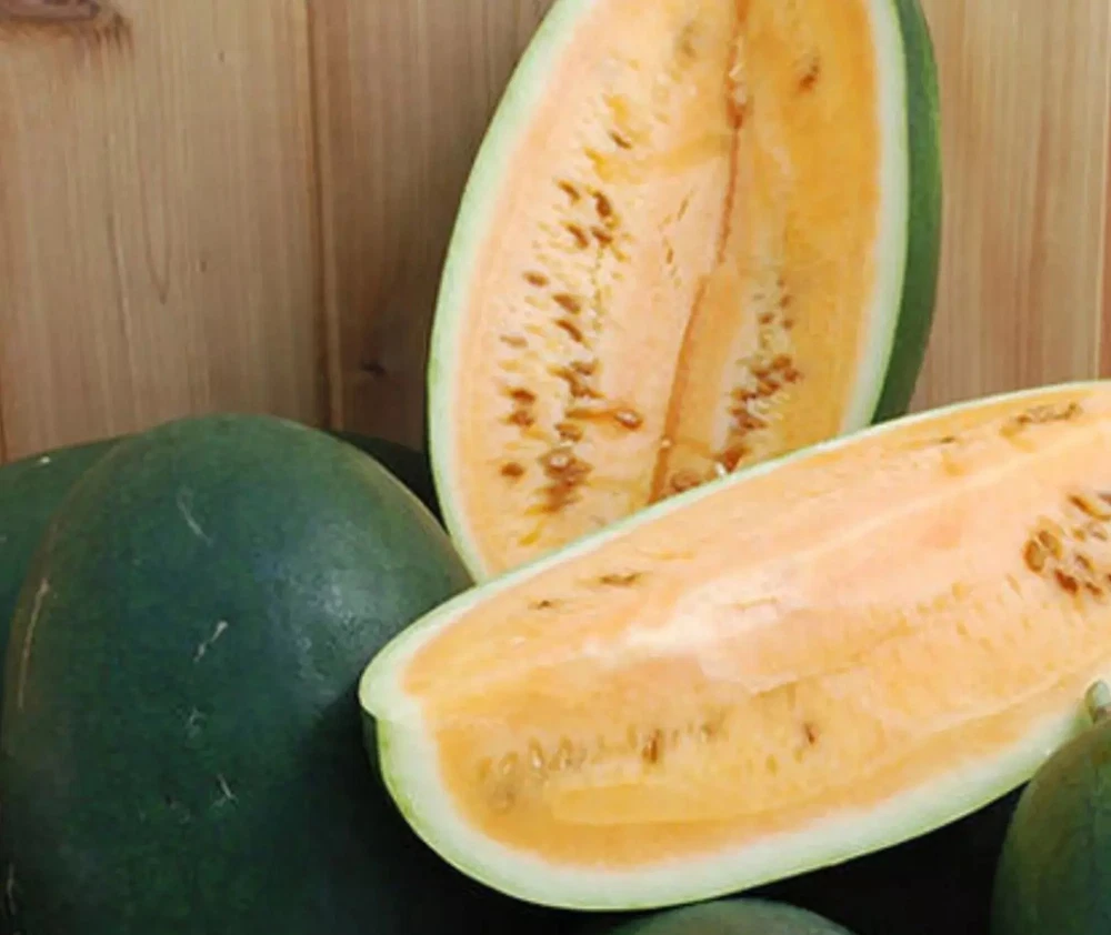 10 Sweet Siberian Watermelon Seeds Heirloom Organic | Top Quality | Non-Gmo - $3.84 CAD