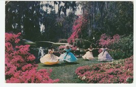 Vintage Postcard Southern Belles Cypress Gardens Florida Azaleas Petunias - £5.51 GBP