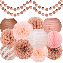 Rose Gold Party Decorations, Tissue Pom Poms, Paper Lanterns, Honeycomb Ball, Pa - £29.84 GBP