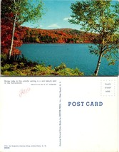 New York(NY) Adirondack Stone Lake Birch Trees in Autumn Fall Vintage Postcard - £7.51 GBP